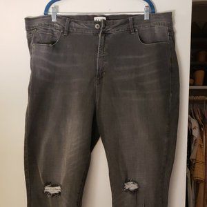 Rebel Wilson Angels Jeans - Size 22W